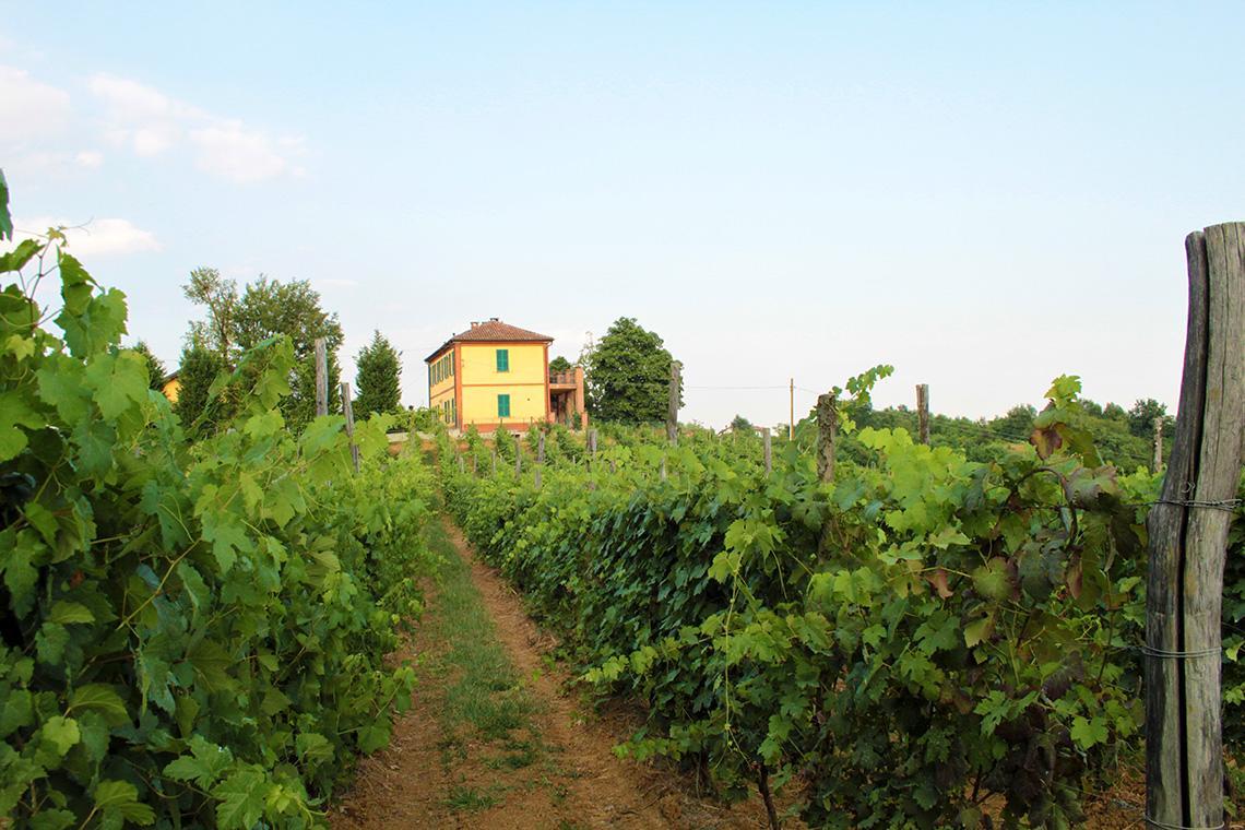 Cascina Desderi Villa Asti Eksteriør billede